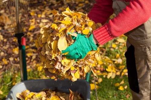 Eco-friendly disposal methods during flat clearance